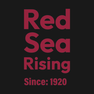 Arizona Cardinals Red Sea T-Shirt