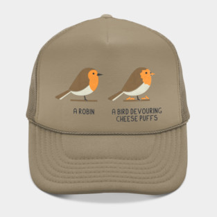 Know Your Birds - Robin Hat