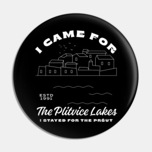 I came in Croatia Pin