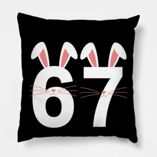 67 Pillow