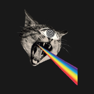CAT-ASTROPHE