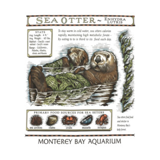 monterey bay aquarium otter