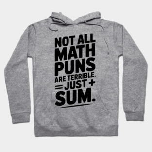 Not All Math Puns Are Terrible Just Sum Hoodie