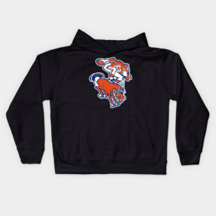Denver-Broncos Kids Hoodie