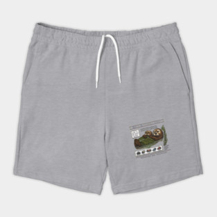 Taylor Swift Sea Otter Monterey Bay Aquarium Shorts