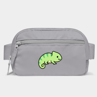 Chameleon Bag
