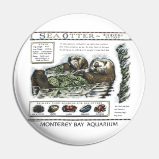 Monterey Bay Aquarium Otter Pin