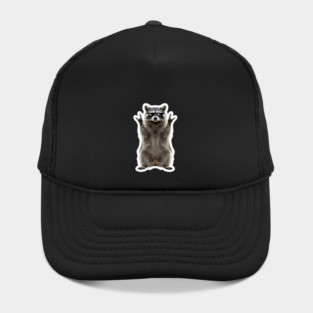 Cool Raccoon Rock and Roll Gift Funny Animal Graphic Hat