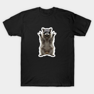 Cool Raccoon Rock and Roll Gift Funny Animal Graphic T-Shirt