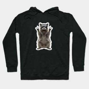 Cool Raccoon Rock and Roll Gift Funny Animal Graphic Hoodie