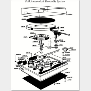Turntable Anatomy Posters and Art