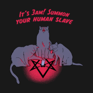 Cat Cult