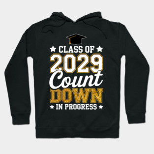 Class of 2029 Senior High School Hoodie