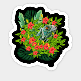 Lizard Animal Tropical Reptile South America Magnet