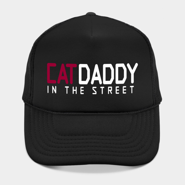 Cat Daddy In The Street Funny MEME by DrollDrifter