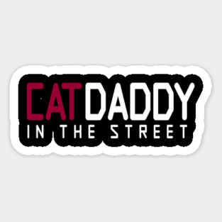 Cat Daddy In The Street Funny MEME Magnet