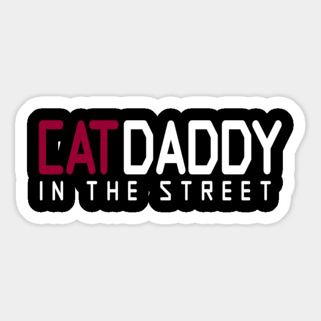 Cat Daddy In The Street Funny MEME Magnet by DrollDrifters