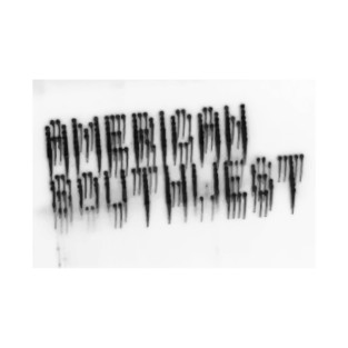 Lightplay American Southwest T-Shirt