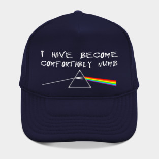 I Have Become Comfortably Numb Hat