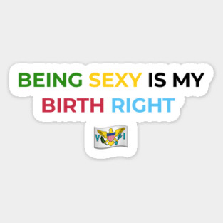 Being Sexy is My Birth Right U.S.V.I. Magnet