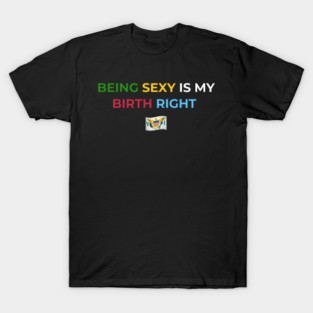 Being Sexy is My Birth Right U.S.V.I. 2.0 T-Shirt