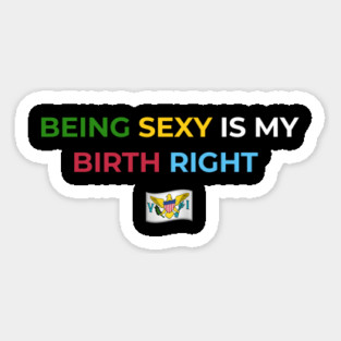 Being Sexy is My Birth Right U.S.V.I. 2.0 Magnet