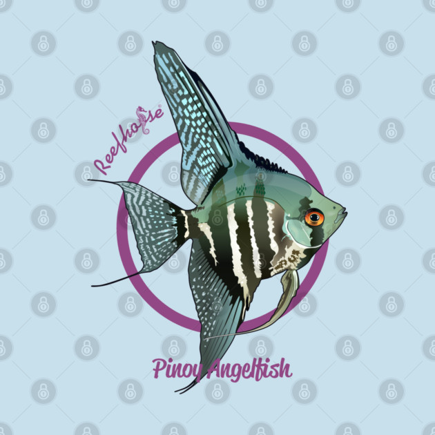Pinoy Angelfish by Reefhorse