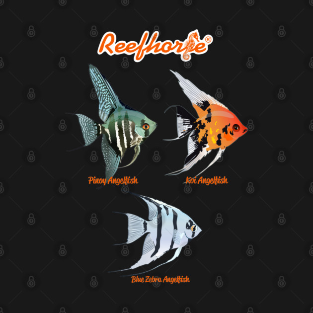 Angelfish Trio by Reefhorse