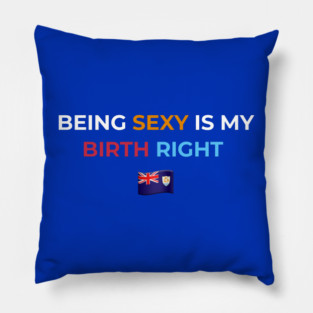 Being Sexy is My Birth Right AXA 2.0 Pillow
