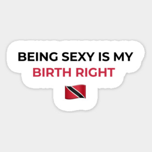 Being Sexy is My Birth Right TNT Magnet
