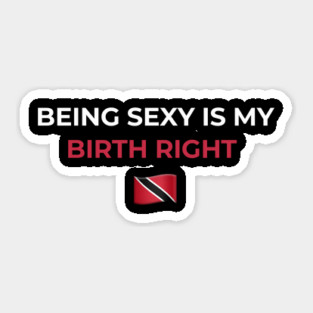 Being Sexy is My Birth Right TNT 2.0 Sticker