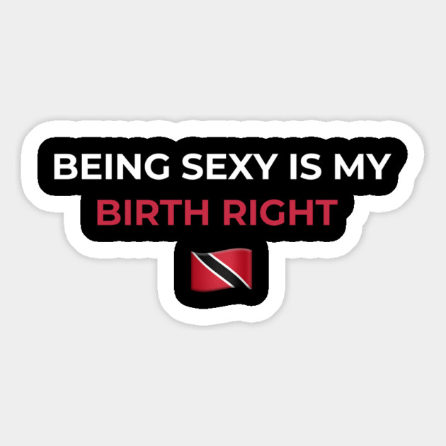 Being Sexy is My Birth Right TNT 2.0 Magnet by Drago
