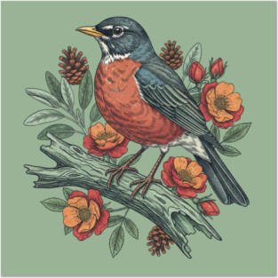 Botanical American Robin Bird Art Posters and Art
