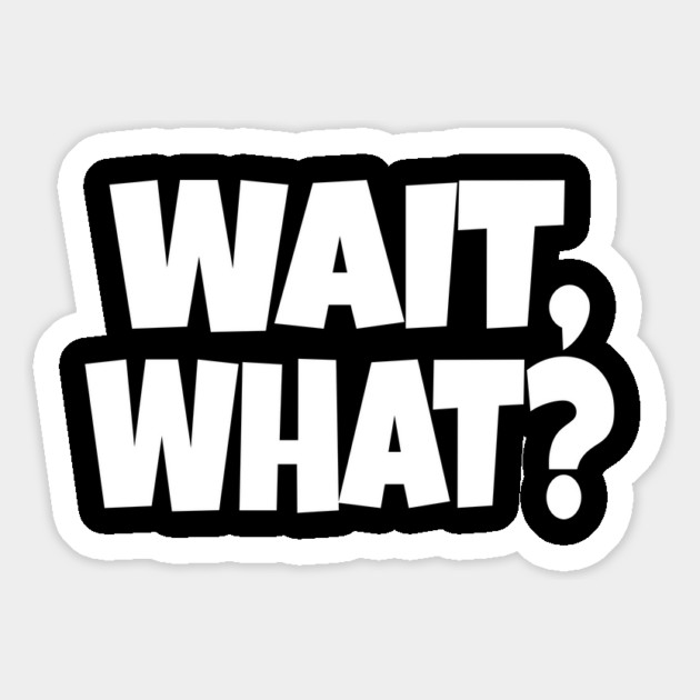 Wait What Tee - Funny Confused Sarcastic Quote Magnet by OUTFITPAW