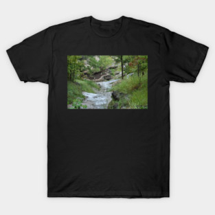 Waterfall T-Shirt