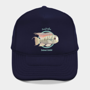 Balzani Cichlid Hat