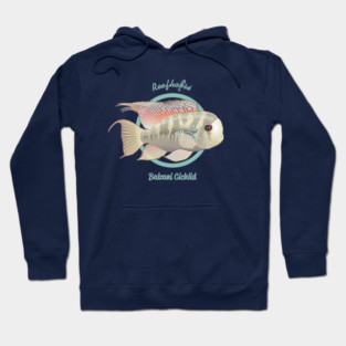 Balzani Cichlid Hoodie