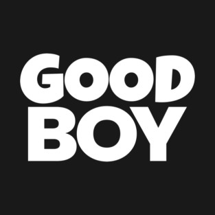 Good Boy Shirt - Funny Dog Owner Sarcastic Gift | funny dog owner gift, sarcastic reward tee, pet lover humor, great job shirt, novelty quote apparel, dog park joke, hilarious partner gift T-Shirt