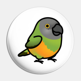 Chubby Senegal Parrot Pin