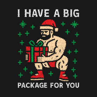 I Have a Big Package Naughty Gay Santa T-Shirt