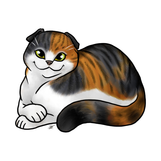 Cat - Scottish Fold Shorthair - Calico by Jen's Dogs Custom Gifts and Designs