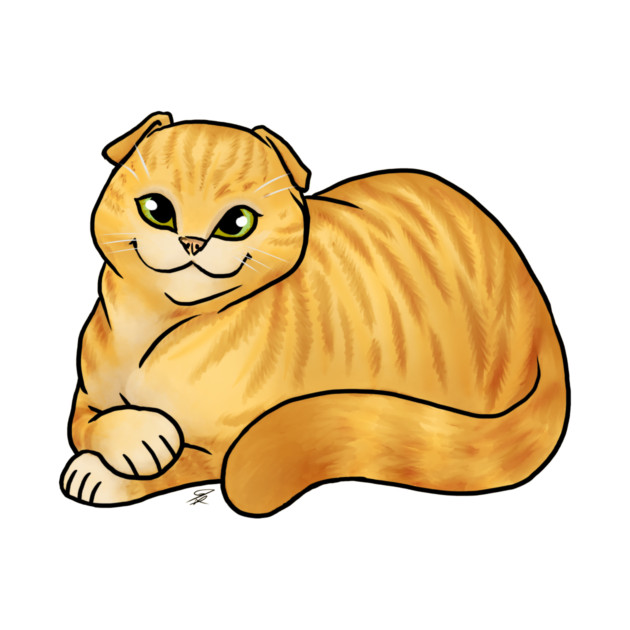Cat - Scottish Fold Shorthair - Orange Tabby by Jen's Dogs Custom Gifts and Designs