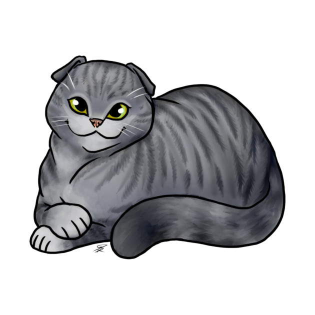 Cat - Scottish Fold Shorthair - Silver Tabby by Jen's Dogs Custom Gifts and Designs