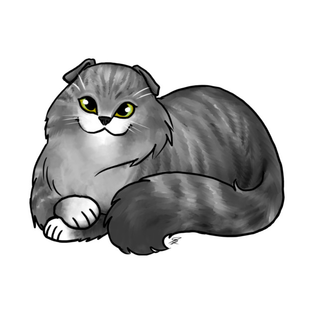 Cat - Scottish Fold Longhair - Silver Tabby by Jen's Dogs Custom Gifts and Designs