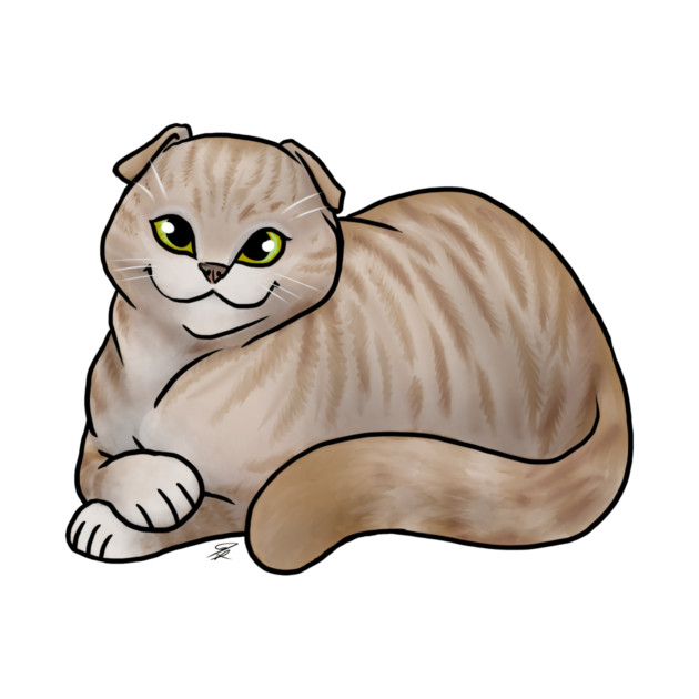 Cat - Scottish Fold Shorthair - Dilute Tabby by Jen's Dogs Custom Gifts and Designs