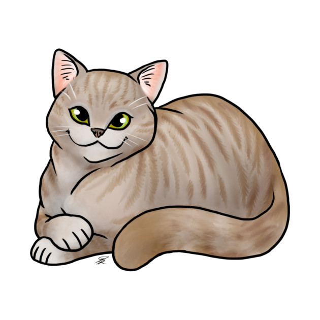 Cat - Scottish Straight Shorthair - Dilute Tabby by Jen's Dogs Custom Gifts and Designs