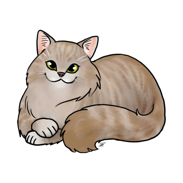 Cat - Scottish Straight Longhair - Dilute Tabby by Jen's Dogs Custom Gifts and Designs