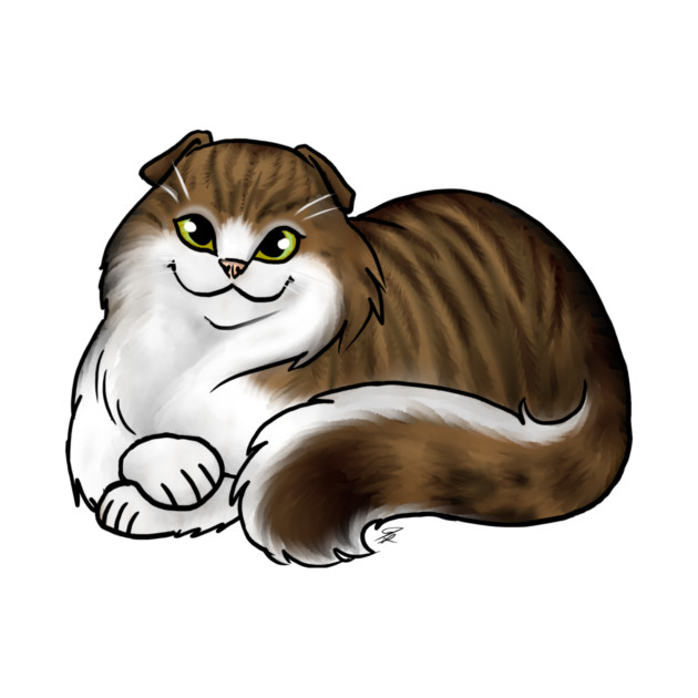 Cat - Scottish Fold Longhair - White and Tabby by Jen's Dogs Custom Gifts and Designs