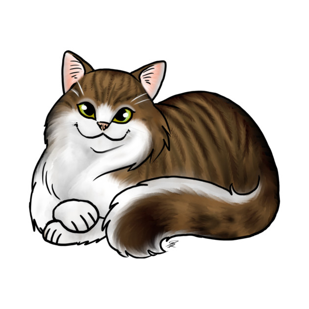 Cat - Scottish Straight Longhair - White and Tabby by Jen's Dogs Custom Gifts and Designs