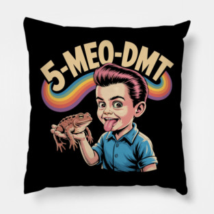 5-MEO-DMT – Psychedelic Playground Pillow
